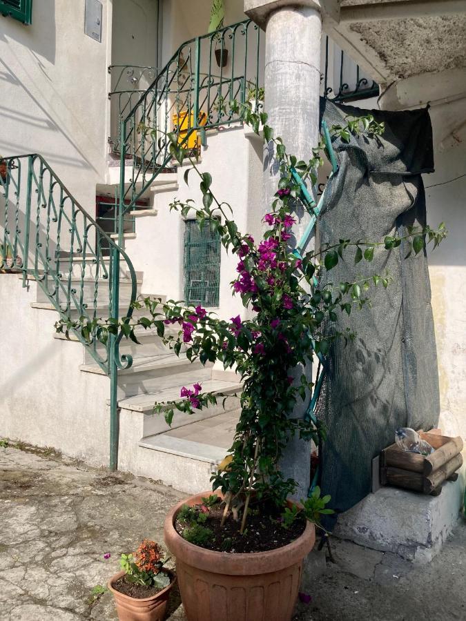 Nel Blu Dipinto Di Blu Apartment Λεβάντο Εξωτερικό φωτογραφία